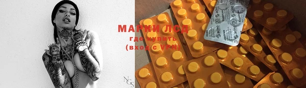 гашик Магас