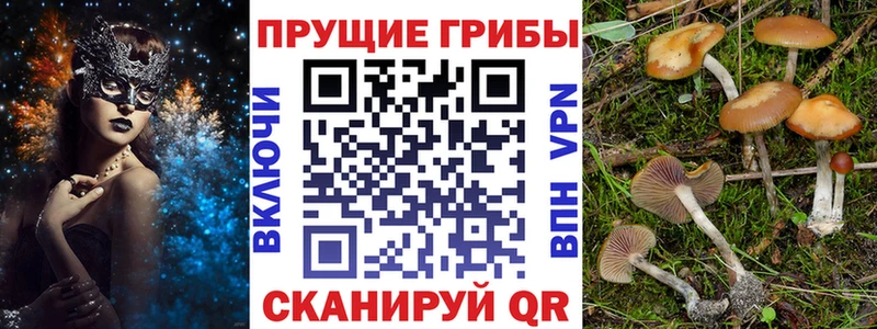 Галлюциногенные грибы мухоморы  где продают   Болохово 